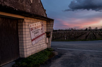 Local Wine Maker - Domaine du Sorbier - Bourgueil
